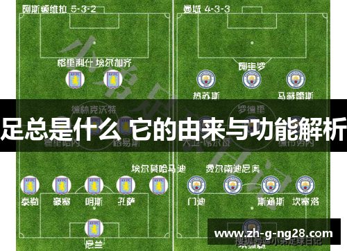 足总是什么 它的由来与功能解析