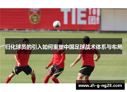 归化球员的引入如何重塑中国足球战术体系与布局