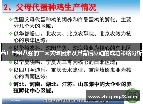 药厂晋级八强的三大关键因素及其背后驱动的成功策略分析